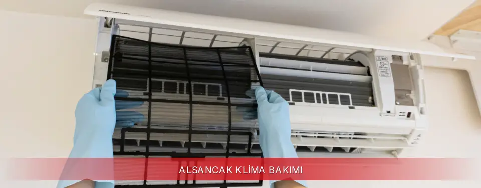 Alsancak İlçemi Regal Klima Bakımı